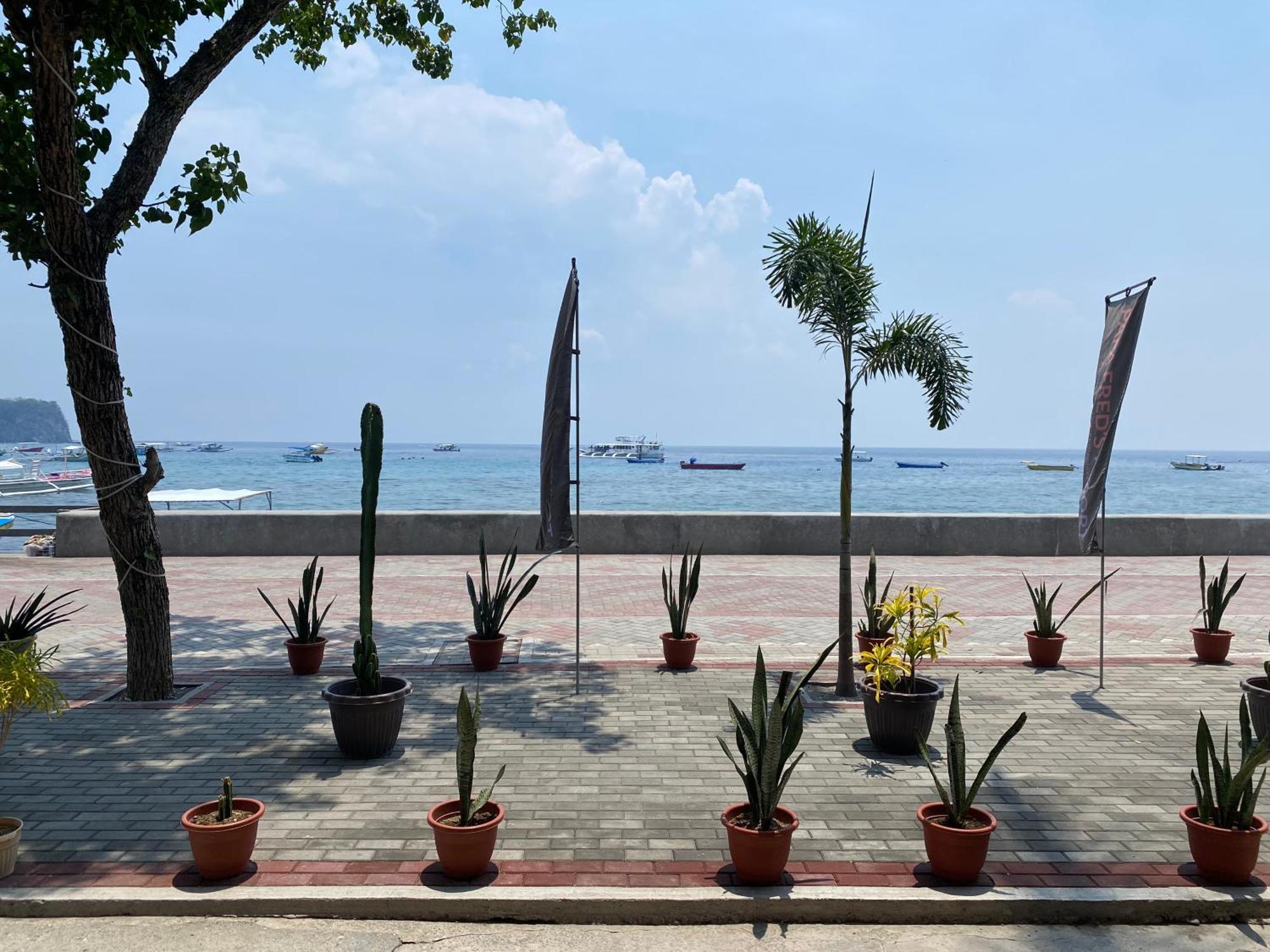 Papa Freds Beach Resort Пуерто Галера Екстериор снимка
